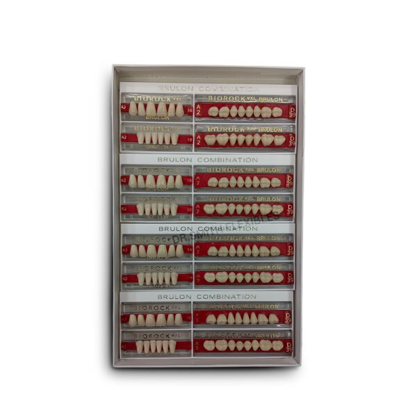 biorock vxl two layer resin teeth set | brulon dental teeth (28 teeth)