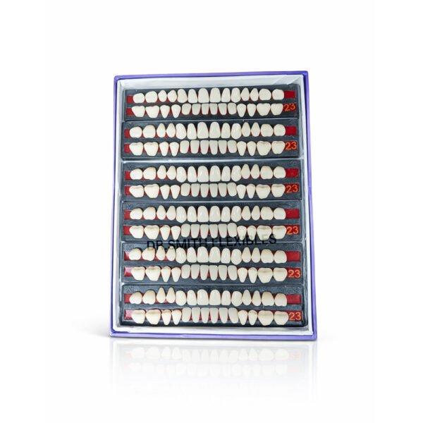 cross dent xl acrylic teeth set | cross linked dental denture teeth (28 teeth) box of 6 teethsets