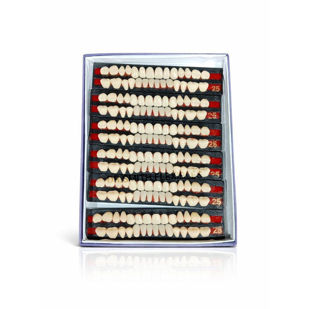 cross dent xl acrylic teeth set | cross linked dental denture teeth (28 teeth) box of 6 teethsets cross dent xl acrylic teeth set | cross linked dental denture teeth (28 teeth) box of 6 teethsets