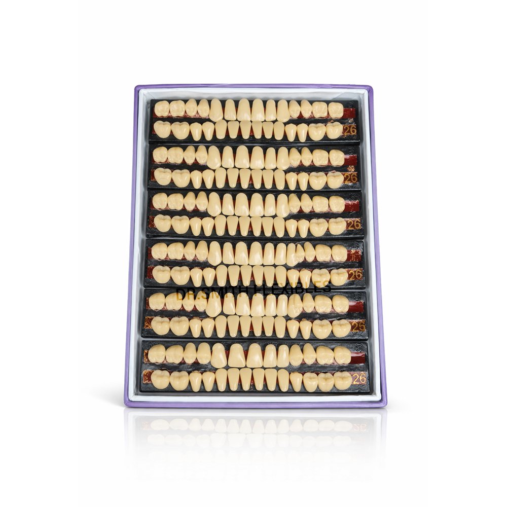 cross dent xl acrylic teeth set | cross linked dental denture teeth (28 teeth) box of 6 teethsets cross dent xl acrylic teeth set | cross linked dental denture teeth (28 teeth) box of 6 teethsets