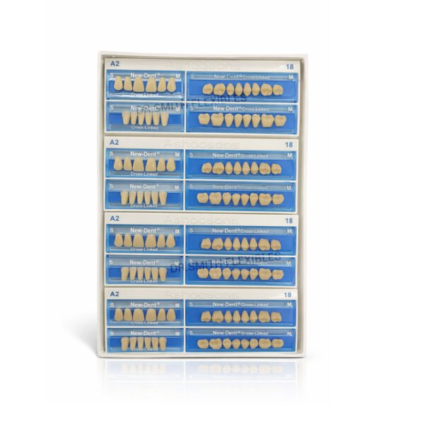 new dent txl two layer acrylic teeth set | cross linked fluorescent dental teeth (28 teeth) box of 4 teethsets